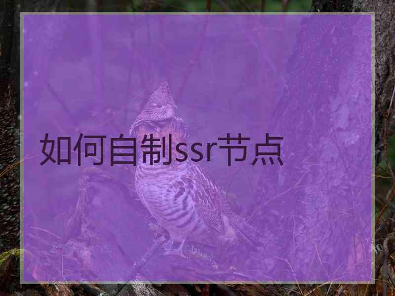 如何自制ssr节点