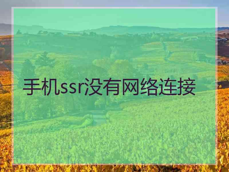 手机ssr没有网络连接