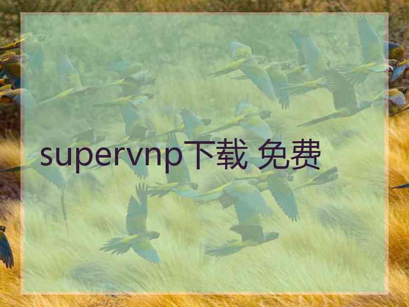 supervnp下载 免费