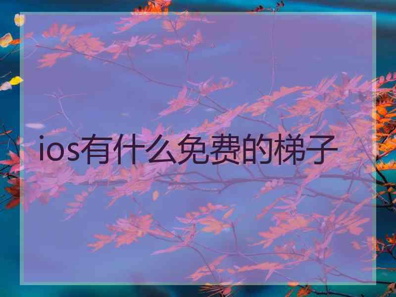 ios有什么免费的梯子